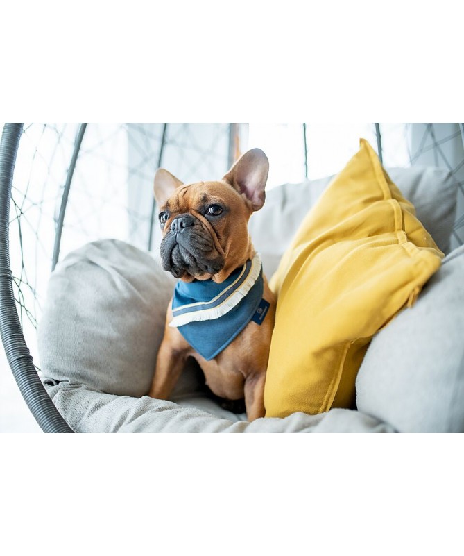 Slika kategorija hranjenje Slika kategorija hranjenje