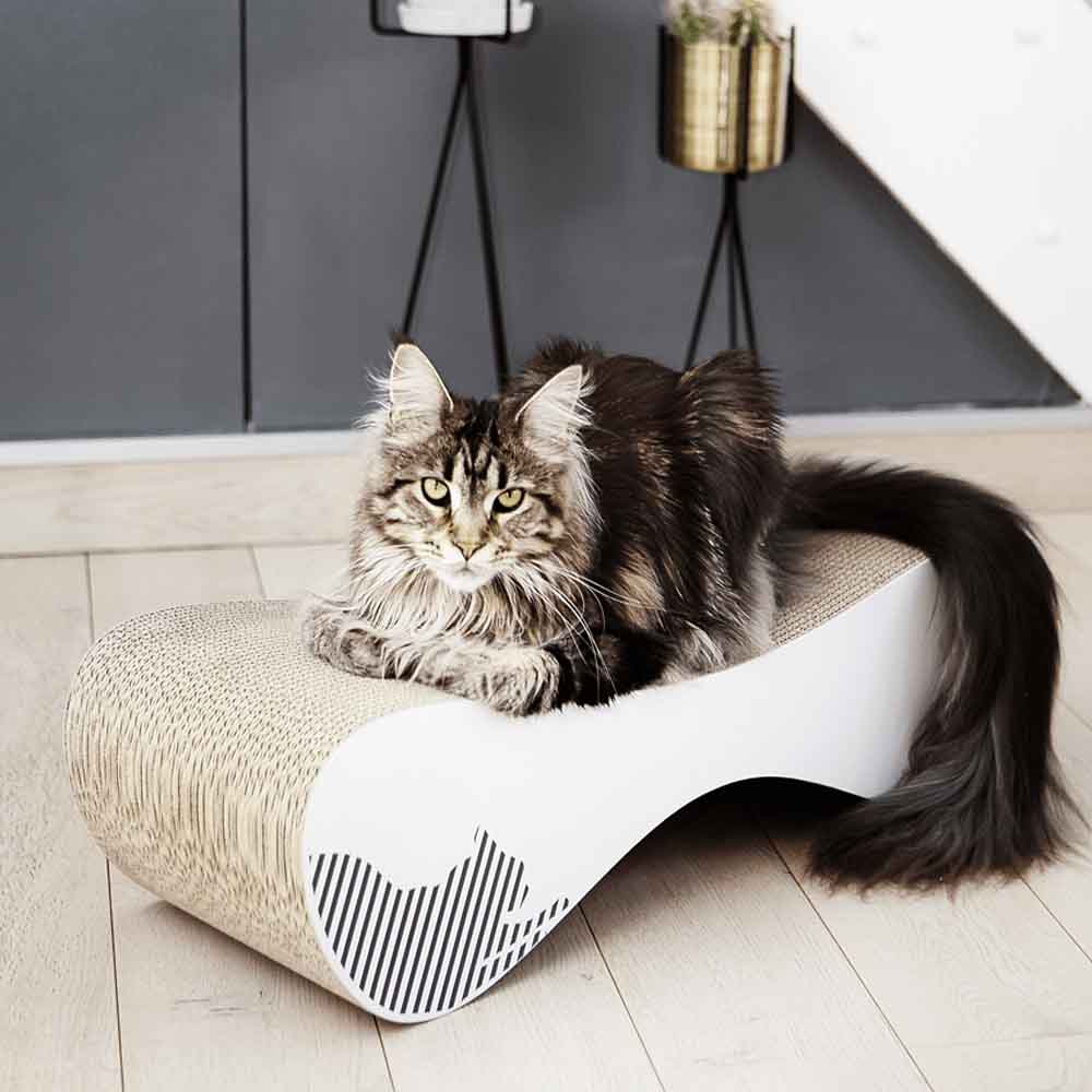 mykotty-v-spletni-trgovini-prestige-pet-praskalnik-za-macke-lezisce-in-igralo-za-macke-v-ene-VIGO3