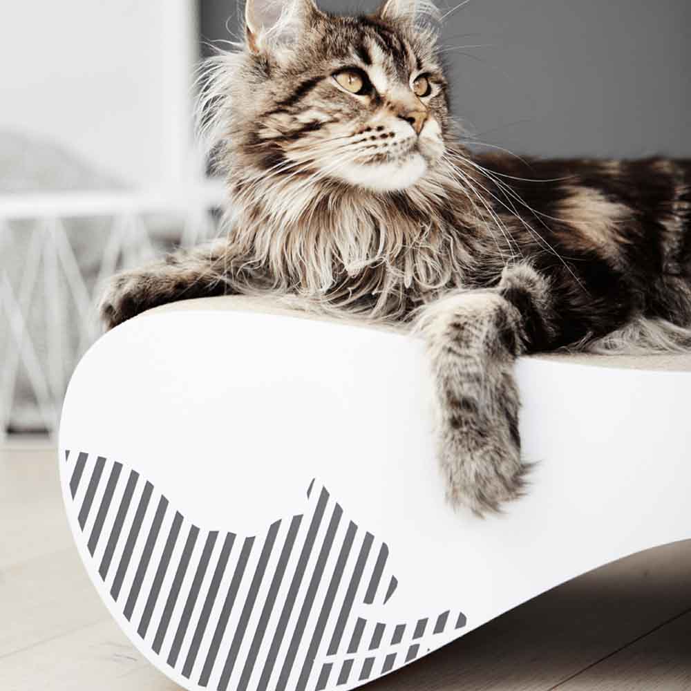 mykotty-v-spletni-trgovini-prestige-pet-praskalnik-za-macke-lezisce-in-igralo-za-macke-v-ene-VIGO5