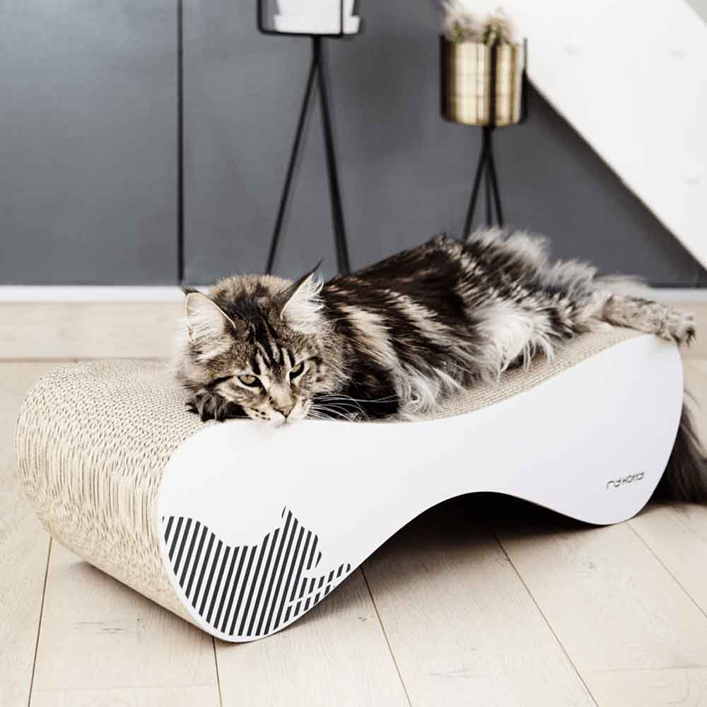 mykotty-v-spletni-trgovini-prestige-pet-praskalnik-za-macke-lezisce-in-igralo-za-macke-v-ene-VIGO5fd